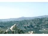 Herodium - across the Judean hills, from outside Bethlehem. Herodium is the flat-topped hill. Irony that Herod was buried here, overlooking Bethlehem where he had failed to eradicate Jesus.